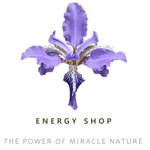 EnergyShop123